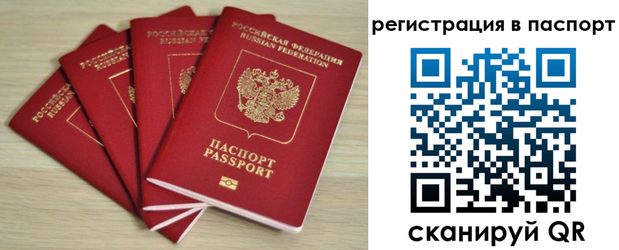 временная регистрация надежно в Тверской области